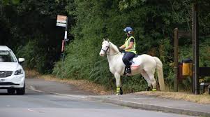 Horse and rider waiting at the side of a road